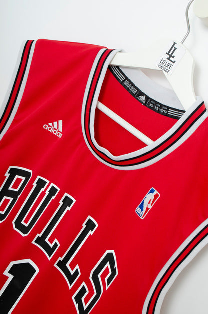 NBA CHICAGO ROSE